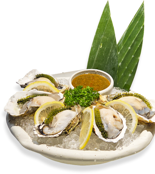 Hàu Xốt Nhiệt Đới
